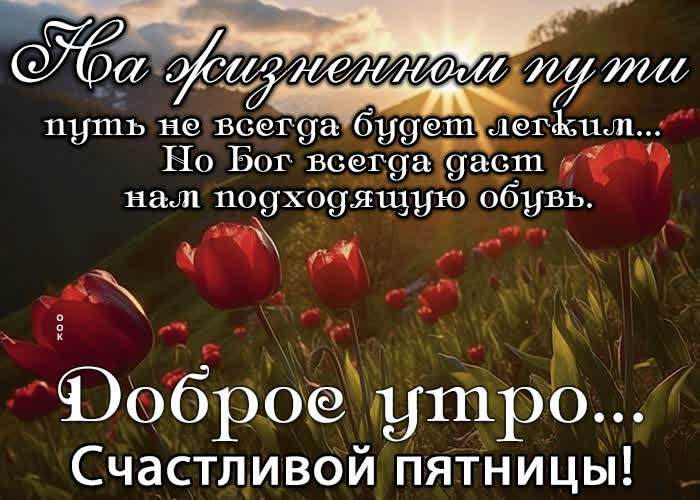 ╭•⊰ 💐Отличной 🌞 пятницы!💐 ⊱•╮ | С добрым утром