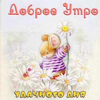 💌☀️😄 Картинки Хорошего дня