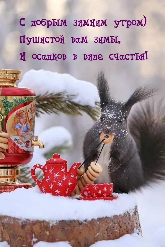 ❄️⛄😍 Картинки с добрым зимним утром