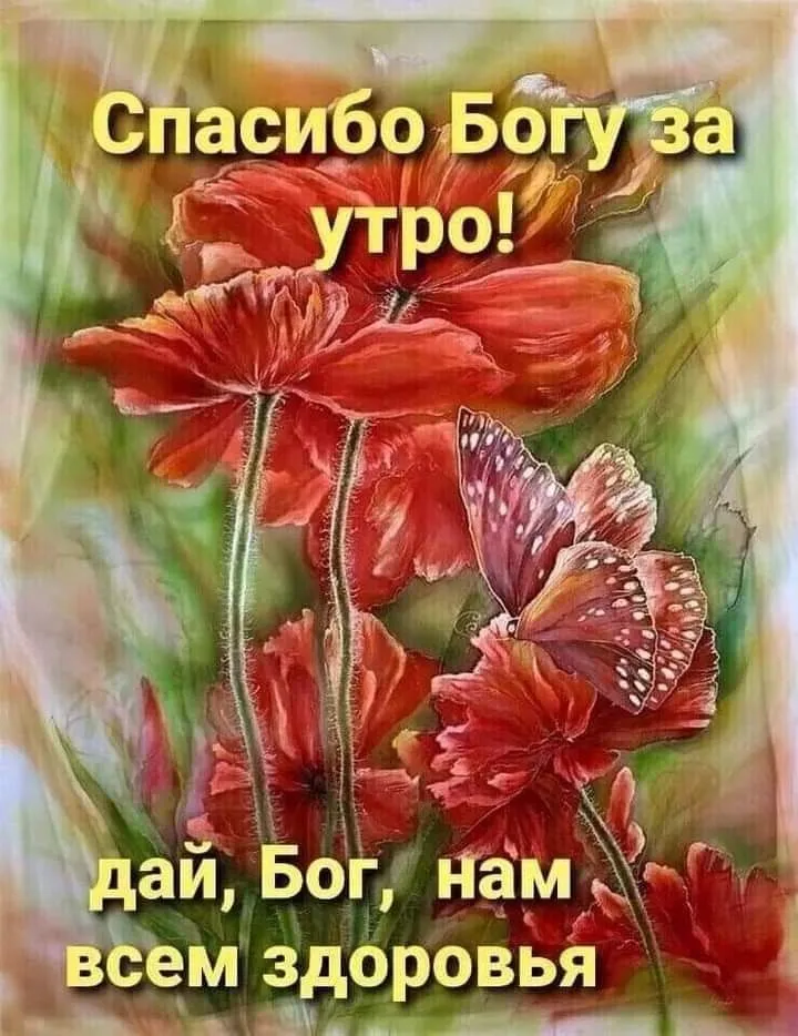 Доброе утро друзья и хорошего дня!!!😍Мира всей земле