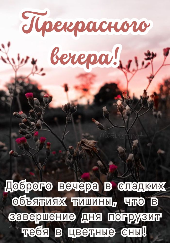 Доброго мирного вечера