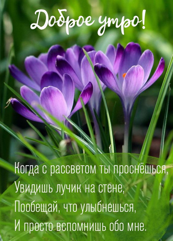 🌷Доброе утро! Сегодня 27 марта, понедельник | ЧП 53 Великий