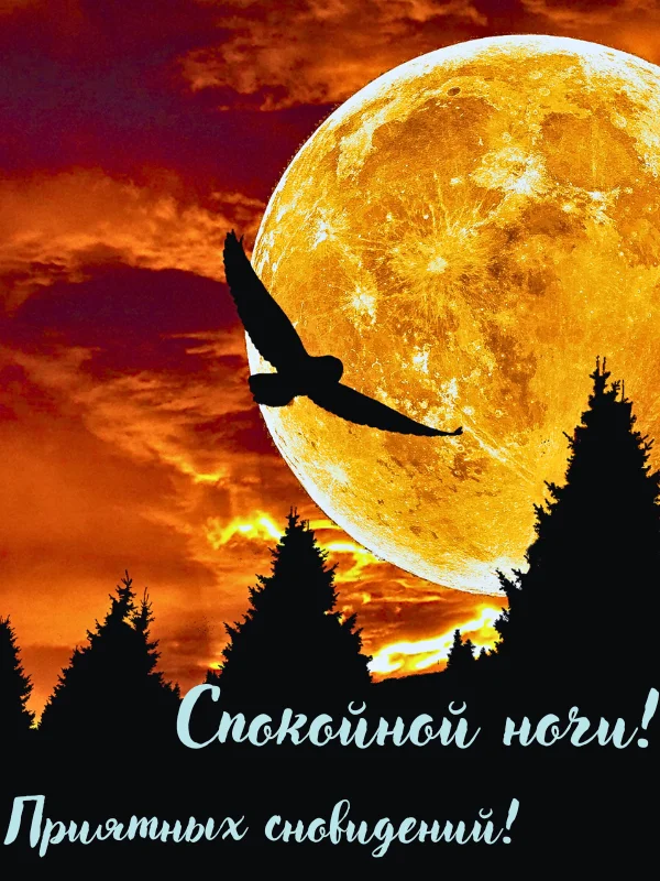 Картинки Спокойной ночи любимому🌙