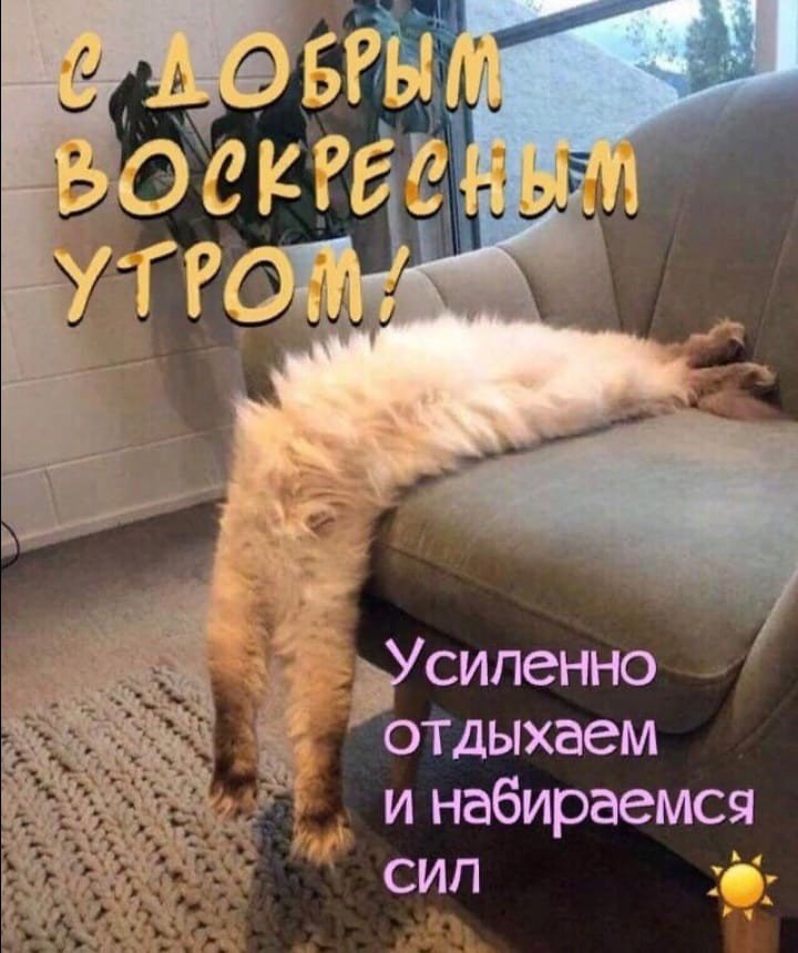 ВОСКРЕСЕНЬЕ ДОБРОЕ УТРО! Удачного