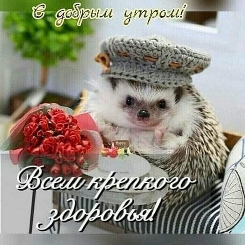 Здоровое утро!