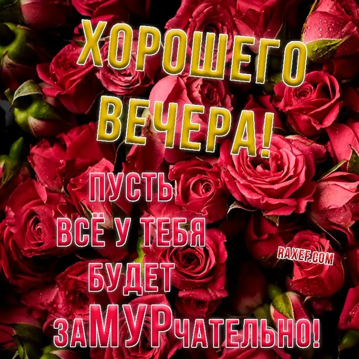 Добрый вечер #Уютного вечера #Красивые