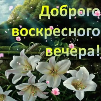 Добрый вечер воскресенья