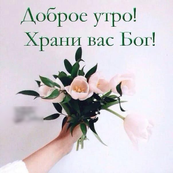 Доброе утро!🌹 ЗДОРОВЬЯ Вам!🌹 Храни Вас Бог!🌹