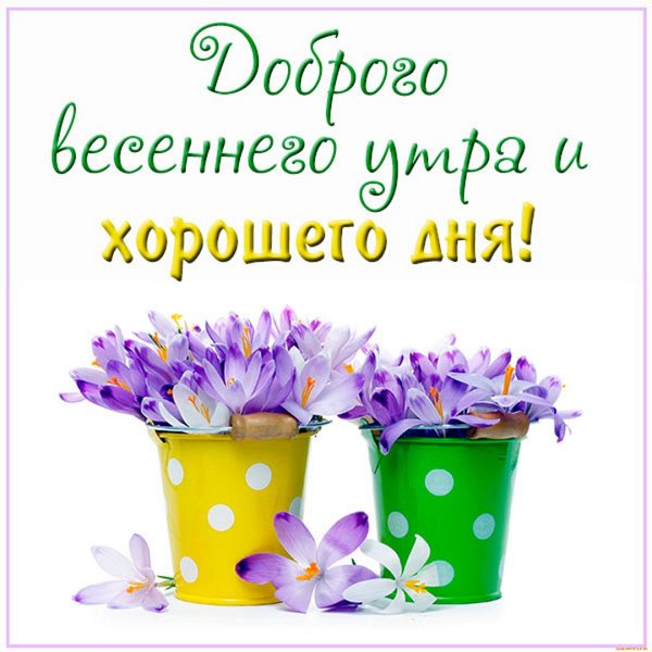 Доброго утра! Хорошего дня! 😊☺😉 | С добрым утром