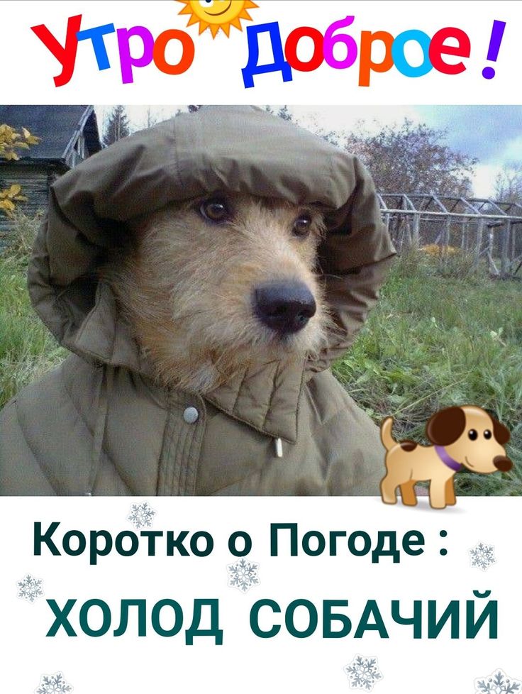 С добрым утром