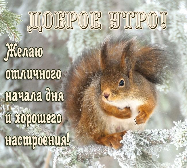 Доброе утро, Липецк!