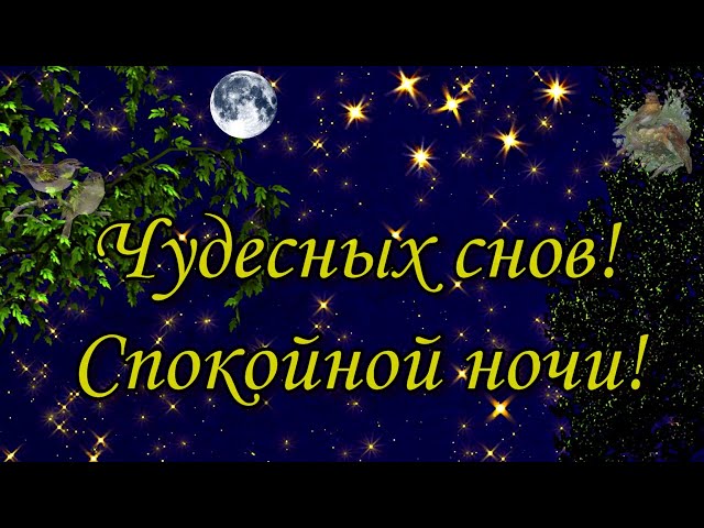 Тихой ночи : Бесплатные