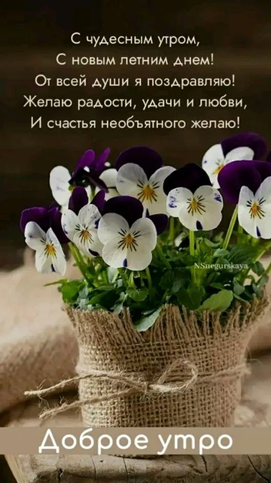 С добрым цветочным утром! 🌻🌷💐 Цзинь Цзы Сюань