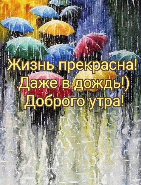 Готовые stories | Доброе дождливое утро ☔🫶 . . Спасибо за