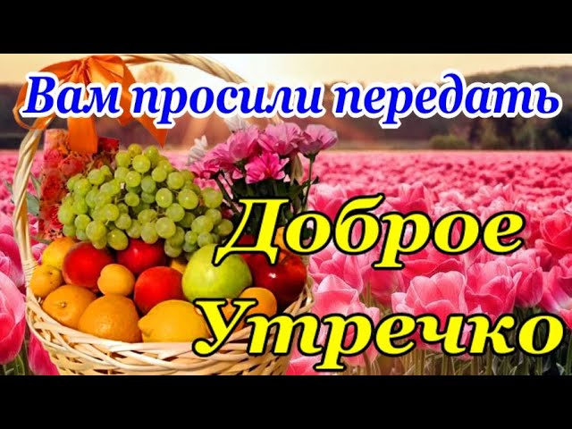 С добрым утром уважаемые подписчики! Удачного дня, хорошего