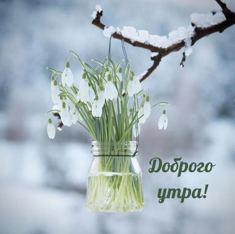 🌸✨☕ Красивые картинки С добрым весенним утром! 