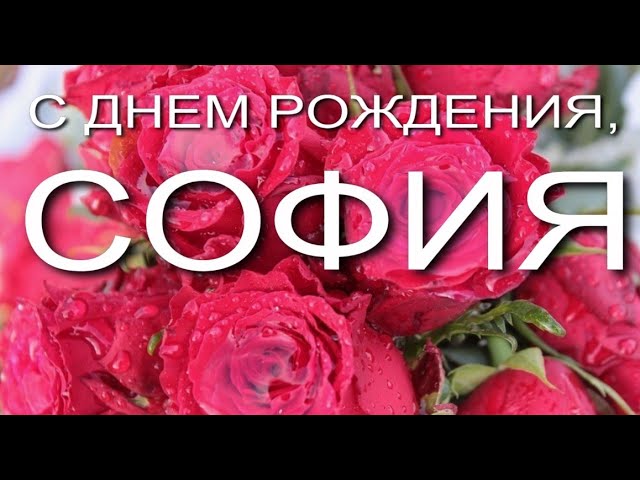 Софья День Рождения Поздравления | TikTok