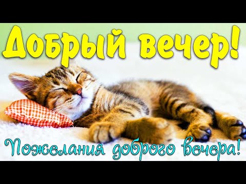 Красивые гифки Доброго Вечера! 