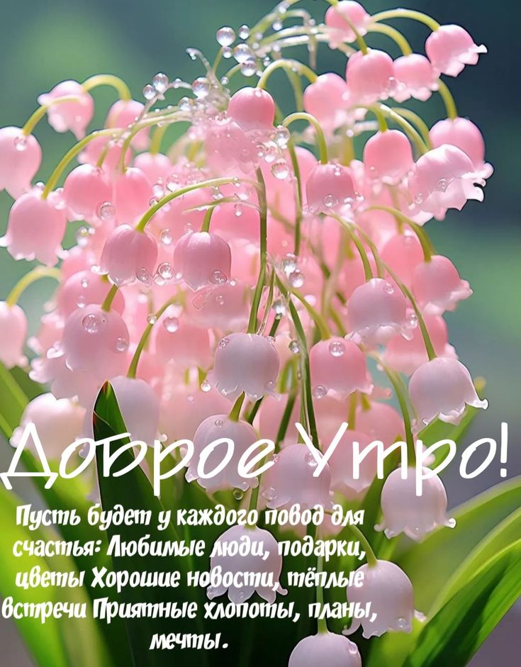 🌺🌿 ЯГОДКИ, ДОБРОЕ УТРО, ОТЛИЧНОГО ДНЯ! 🌿🌺 Весна – это