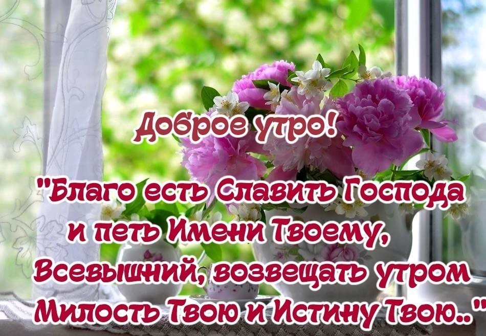 Картинки С добрым утром с цветами 🌹