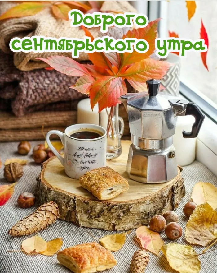 Осень… Доброе утро! ☀️🍂 картинки красивые с супер словами