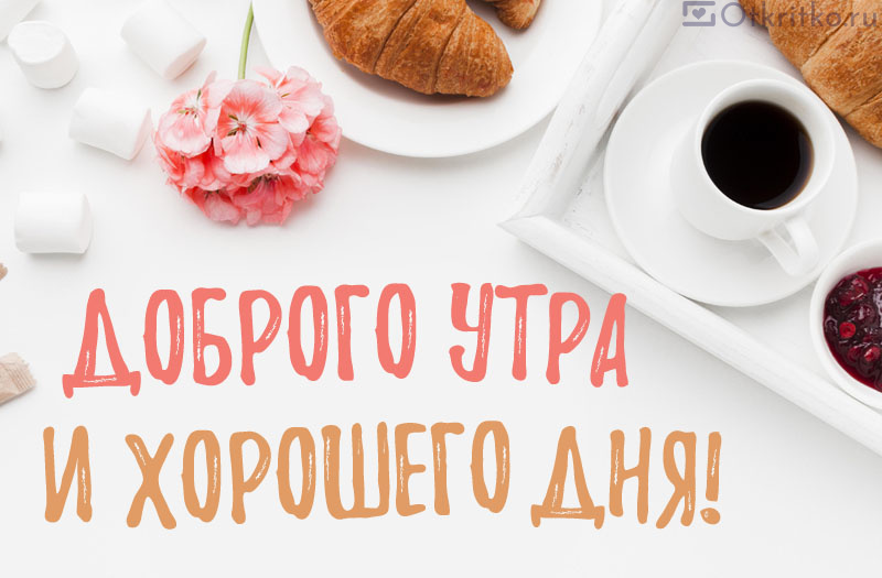 ☕️С Добрым Утром И Хорошего Дня😘 | Сообщество «Домашние и