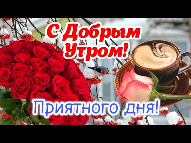 ДОБРОЕ УТРО !!! СОЛНЕЧНОГО НАСТРОЕНИЯ !!! | Интересный