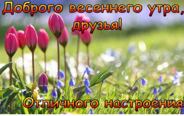 😃 Доброго весеннего дня и хорошего настроения.