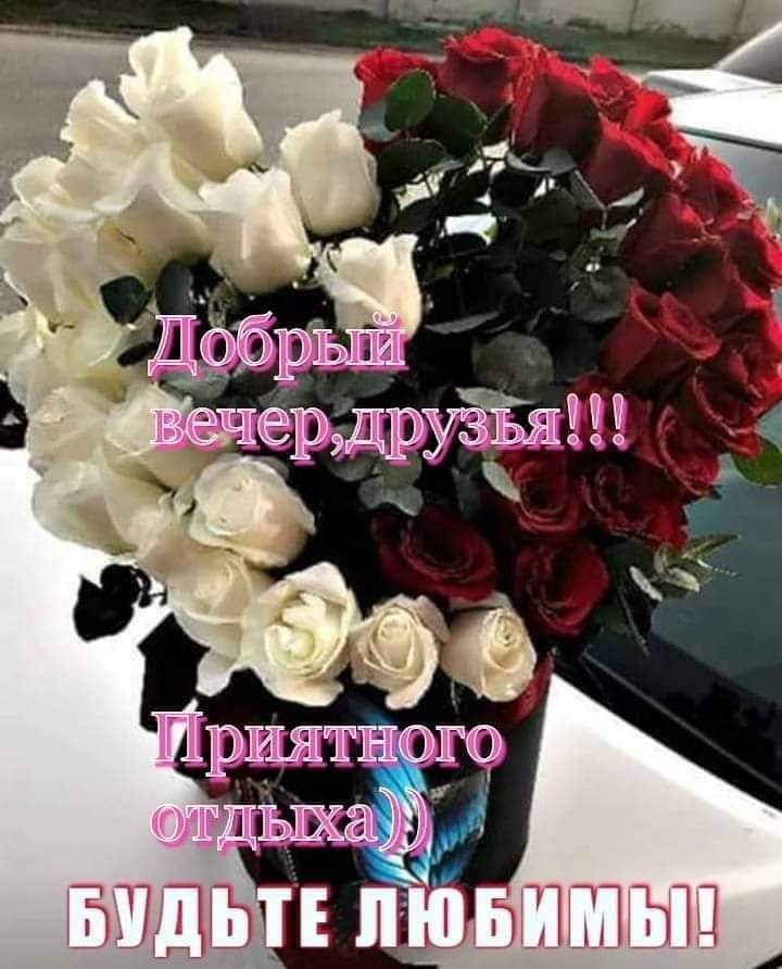 10 лучших стикеров WhatsApp в 2023 году