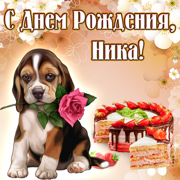 🎉 Милота дня на «Нике»! Сегодня день рождения у постоянного