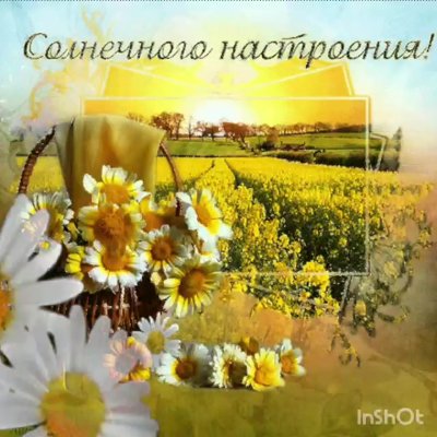 Доброе солнечное утро 