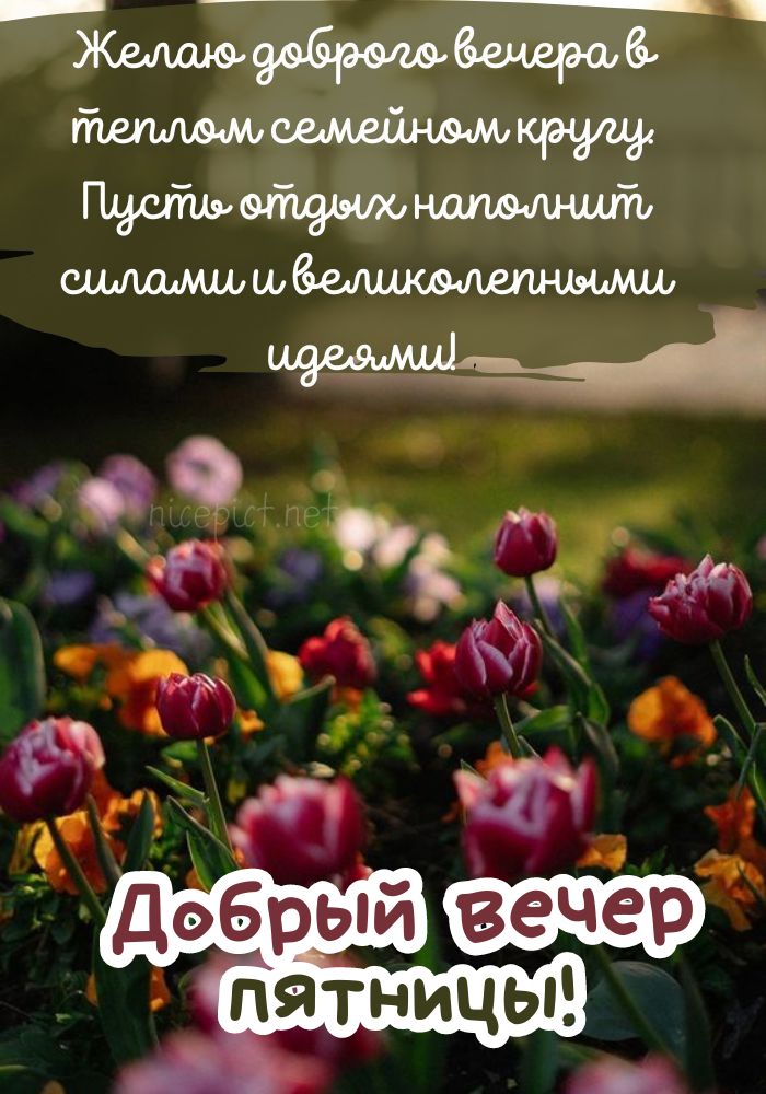 💖Доброго вечера💖 Хорошего отдыха💖