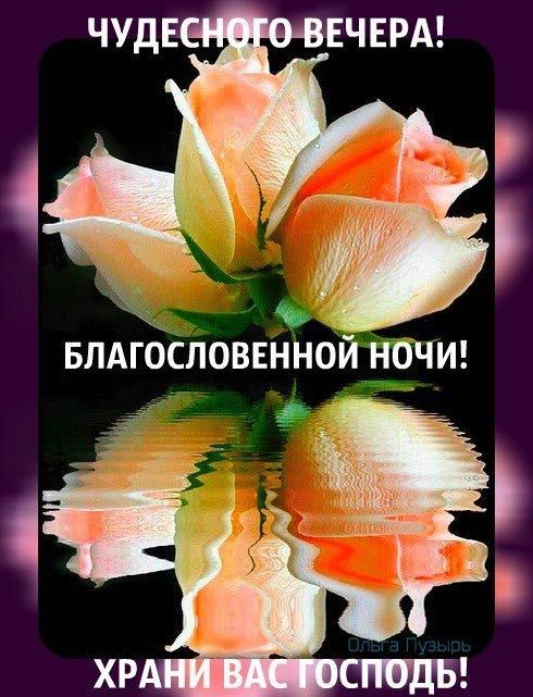 Добрый Вечер! 🌹🌛Спокойной Ночи Сладких