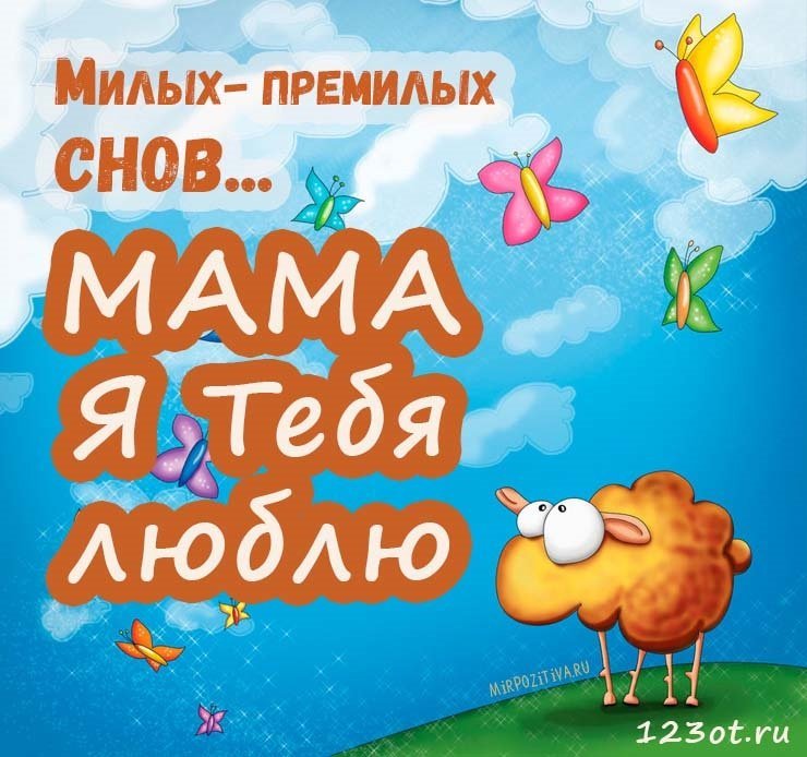 Доброй ночи и сладких снов 