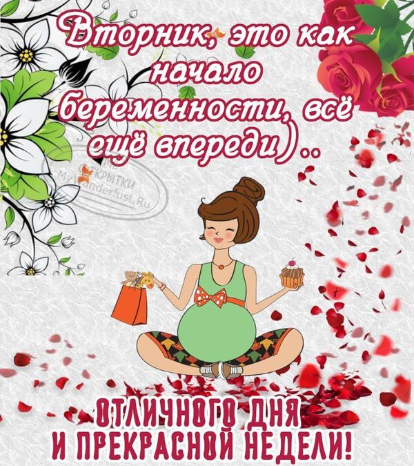 Открытки