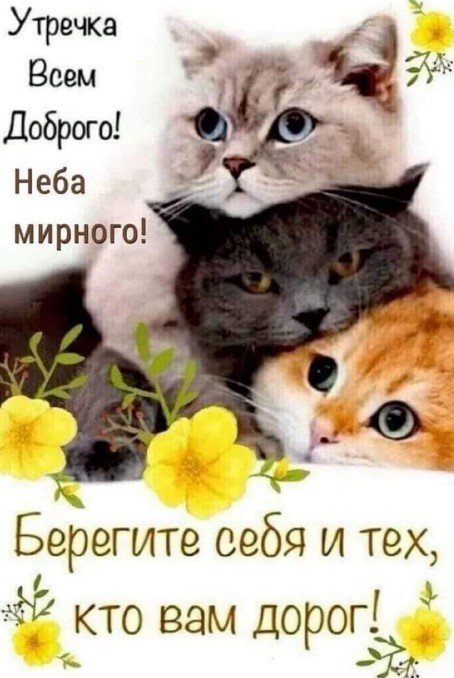 galina_flowers999999999 | С добрым