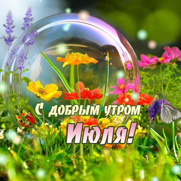 🍃🌞 ДОБРОЕ УТРО, ДРУЗЬЯ! 🌞🍃 Август последними лета