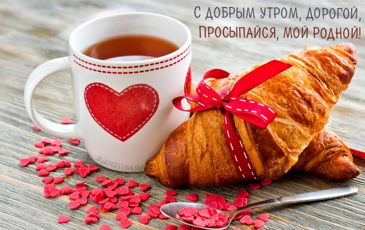 Шикарные стихи с Добрым Утром Любимому 💘 600 красивых