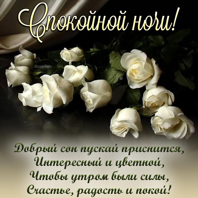 Спокойной ночи! #Природа | Природа | ВКонтакте