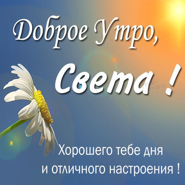 Светочка Доброе Утро | TikTok