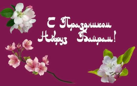 navruz https