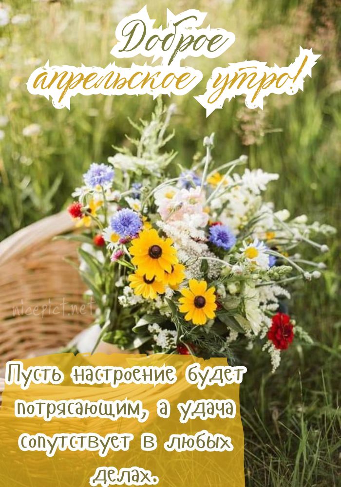 🌸✨🌸 С ДОБРЫМ МАРТОВСКИМ УТРОМ 🌸✨🌸 Проснулось утро. С