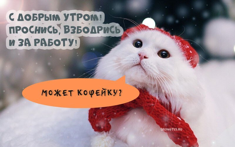 Доброе Зимние Утро❄️С Добрым Утром и Хорошего Дня