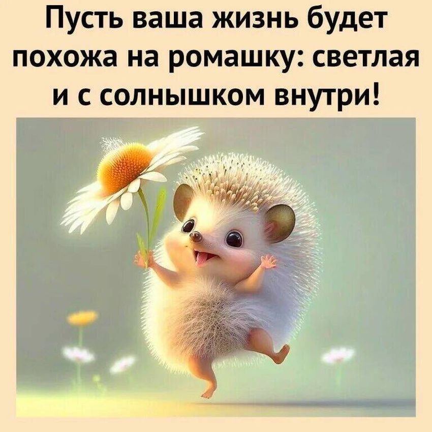 🌸✨🌸 С ДОБРЫМ МАРТОВСКИМ УТРОМ