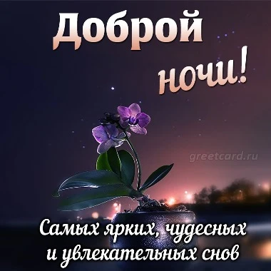 Необычные картинки Спокойной ночи! бесплатно 