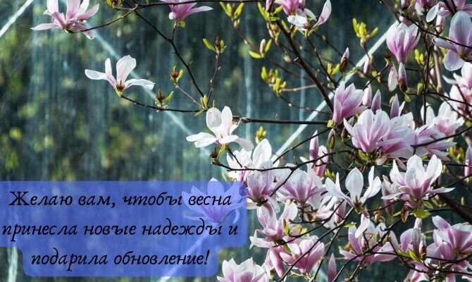 Красивые картинки: в ожидании весны 🌱🌤🌷 | Волшебный мир