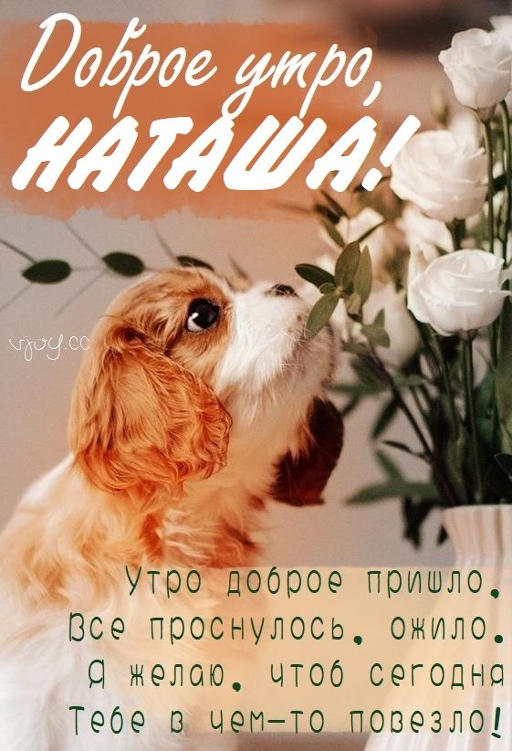 Открытка Наталья Доброе утро.