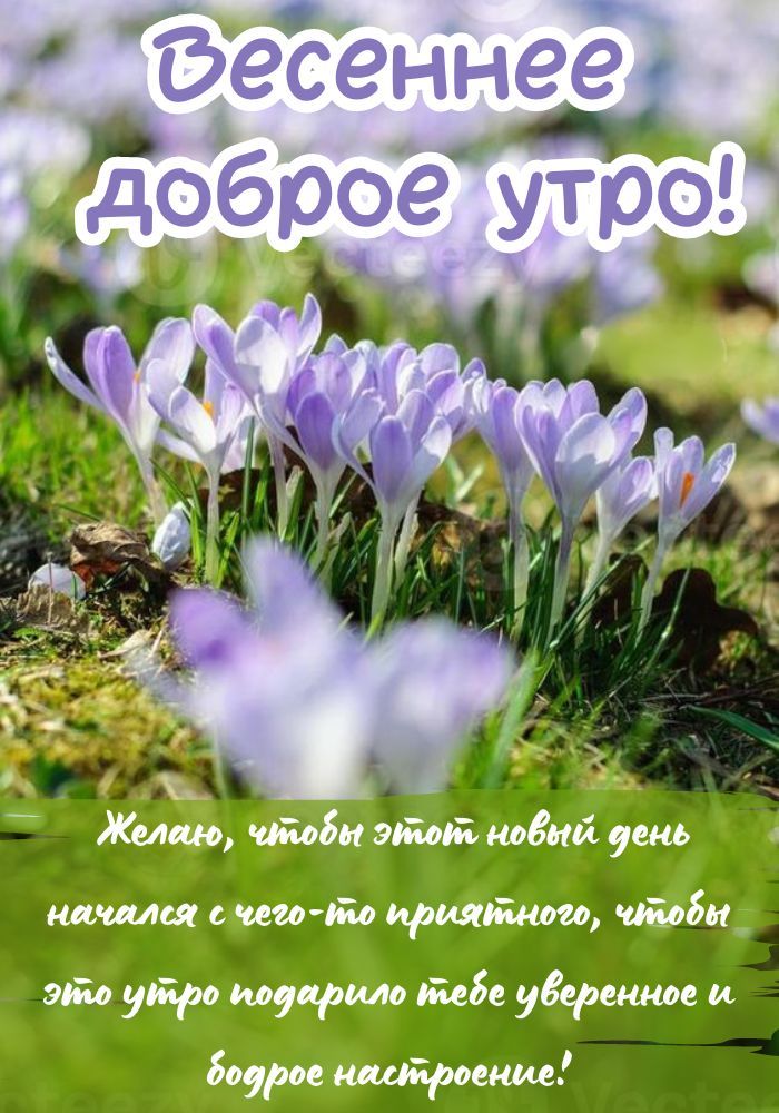 🌸✨🌸 С ДОБРЫМ МАРТОВСКИМ УТРОМ 🌸✨🌸 Сегодня первый день