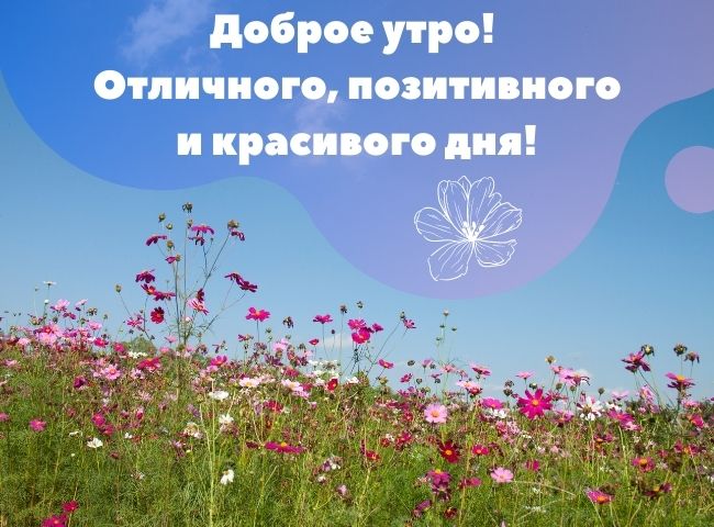 Картинки Доброе утро! для женщин 