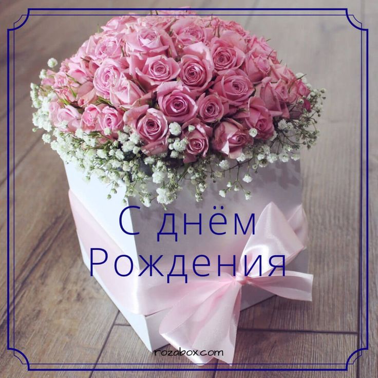 Супер Поздравление С Днем Рождения в Декабре🌹НОВИНКА🌹 Яркая